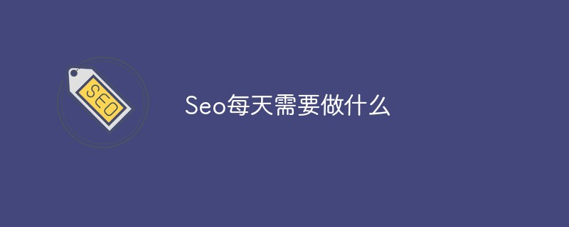 Seo每天需要做什么-第1张图片-王尘宇