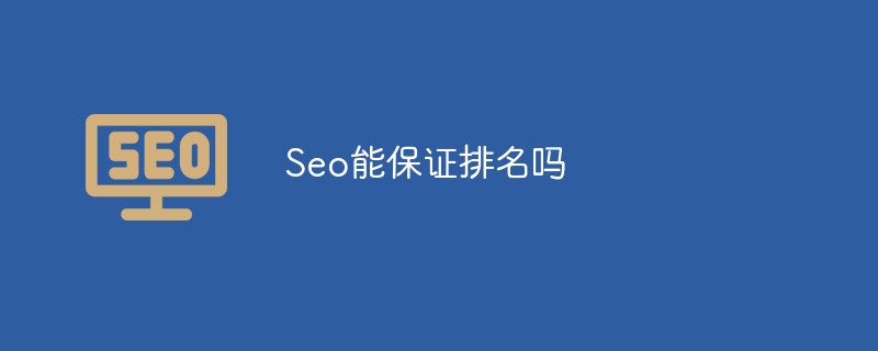 seo能保证排名么-第1张图片-王尘宇