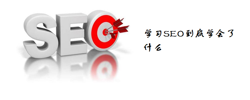 学习SEO到底学会了什么-第1张图片-王尘宇