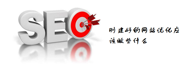 刚建好的网站优化应该做些什么-第1张图片-王尘宇