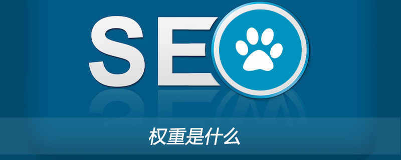 权重是什么?-第1张图片-王尘宇 权重是什么?-第1张图片-王尘宇