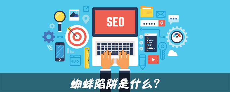 蜘蛛陷阱是什么-第1张图片-王尘宇