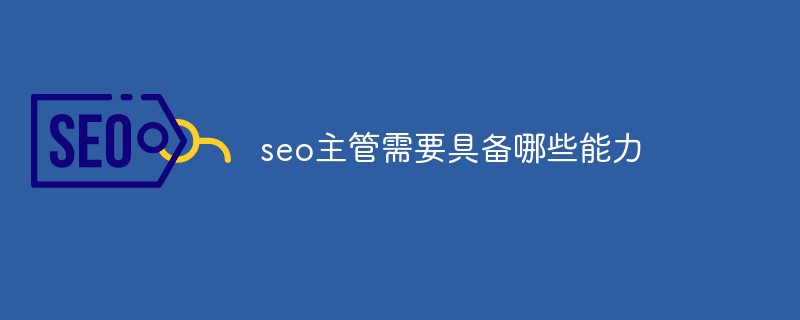 seo主管需要具备哪些能力-第1张图片-王尘宇