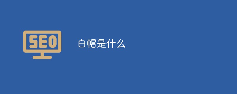 白帽是什么-第1张图片-王尘宇