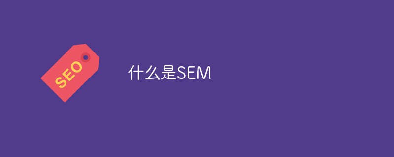 什么是SEM-第1张图片-王尘宇 什么是SEM-第1张图片-王尘宇