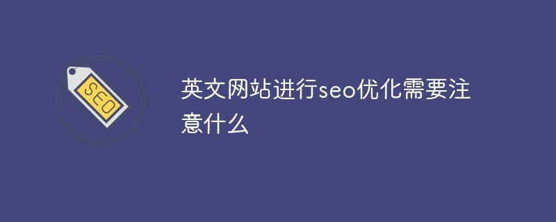 英文网站进行seo优化需要注意什么-第1张图片-王尘宇
