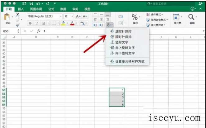 Excel表格中文字方向的排列方法介绍-第6张图片-王尘宇