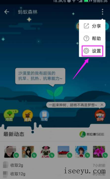蚂蚁森林怎么关闭-第8张图片-王尘宇