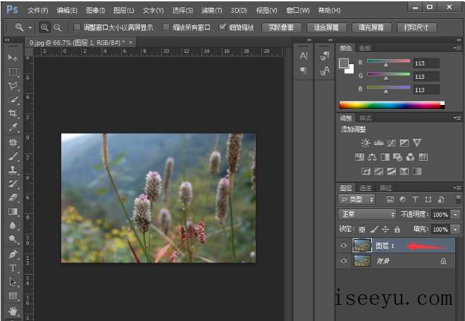 教你用PS让图片呈现小清新的视觉感-第6张图片-王尘宇 教你用PS让图片呈现小清新的视觉感-第6张图片-王尘宇