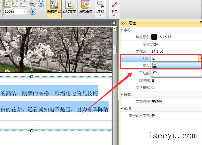 教你用捷速PDF编辑器对PDF文件部分文字进行加粗显示-第8张图片-王尘宇