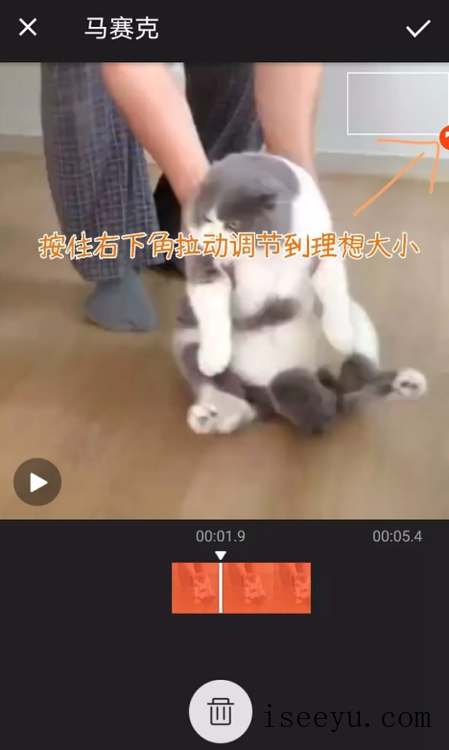 手机视频中的水印标志怎么删了-第8张图片-王尘宇