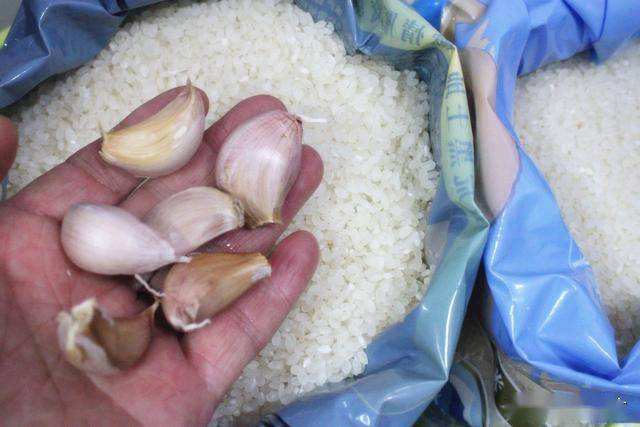 手机掉水里大米埋多久-第2张图片-王尘宇