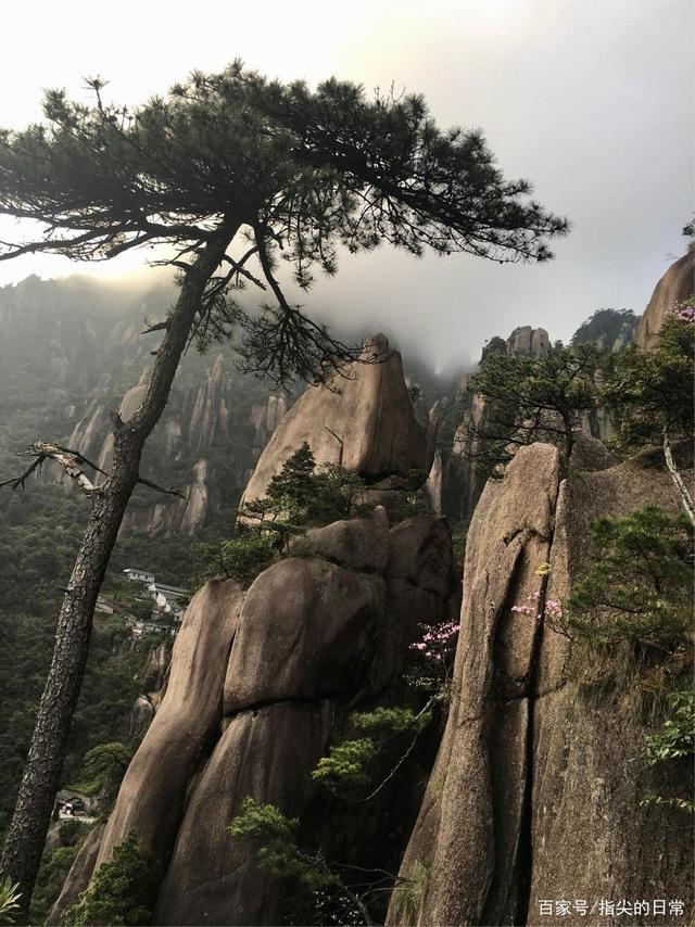 手机三清是什么意思-第2张图片-王尘宇