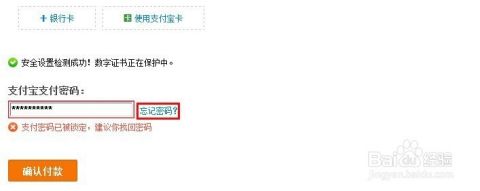 忘记支付宝密码怎么办-第1张图片-王尘宇