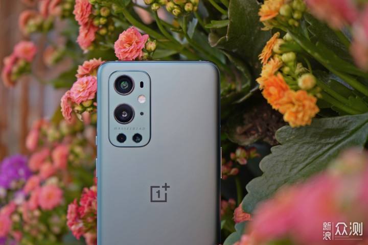 一加9和一加9pro区别-第2张图片-王尘宇