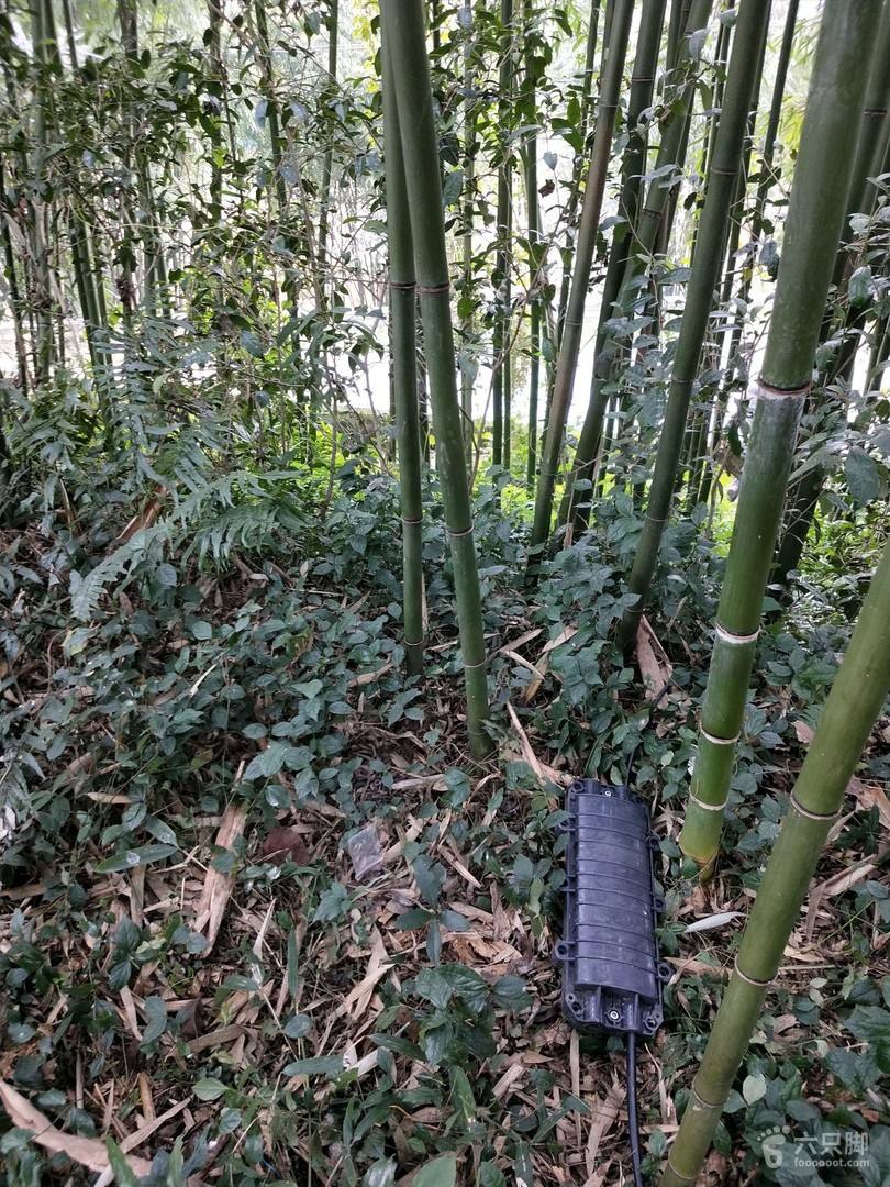 光纤被老鼠咬断怎么办-第1张图片-王尘宇 光纤被老鼠咬断怎么办-第1张图片-王尘宇