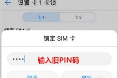 pin锁定是什么意思-第1张图片-王尘宇