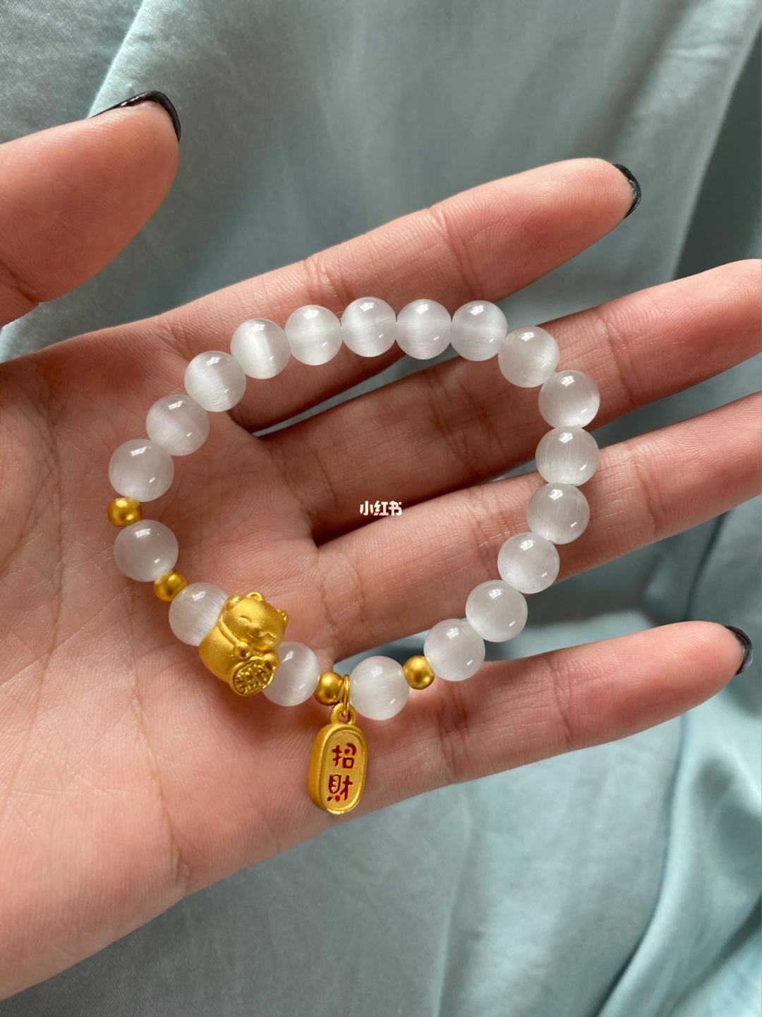 招财猫的账号密码在哪里-第1张图片-王尘宇