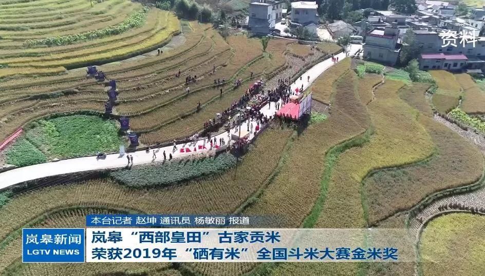 金米奖是什么-第1张图片-王尘宇