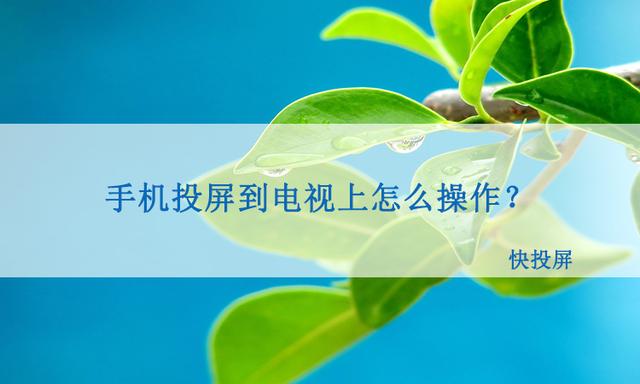 手机怎么投屏到电视上-第1张图片-王尘宇