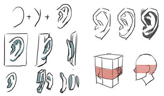 微信上的耳朵怎么去掉-第2张图片-王尘宇