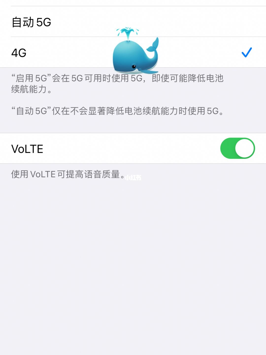 苹果怎么设置5g网络-第1张图片-王尘宇