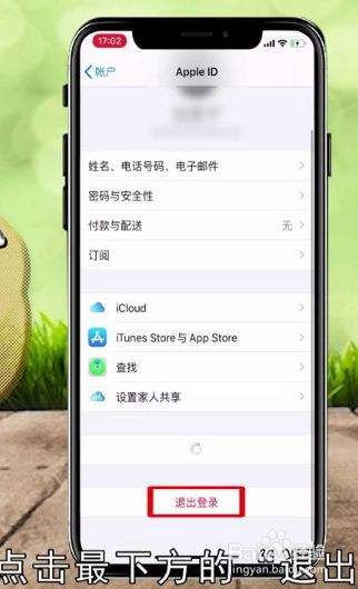 苹果手机怎么退出id-第2张图片-王尘宇