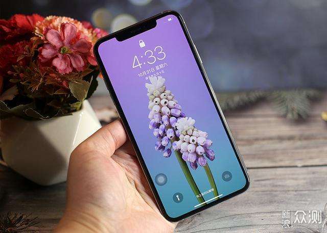 iphonexs屏幕尺寸「iPhone XS屏幕尺寸」-第2张图片-王尘宇 iphonexs屏幕尺寸「iPhone XS屏幕尺寸」-第2张图片-王尘宇