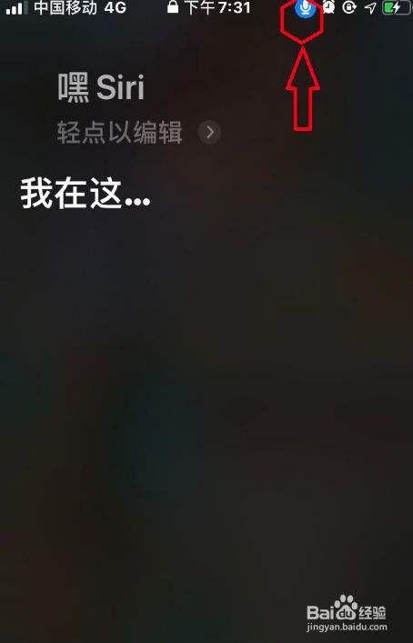 苹果语音坏了怎么办-第2张图片-王尘宇
