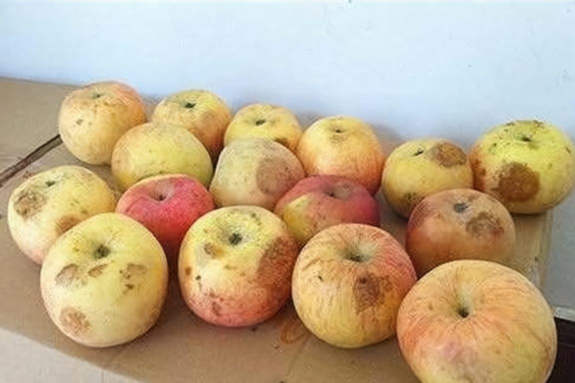 苹果家庭怎么用-第2张图片-王尘宇