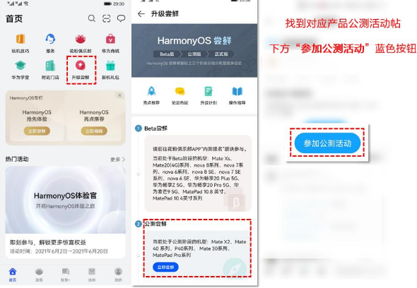 怎么升级鸿蒙-第2张图片-王尘宇