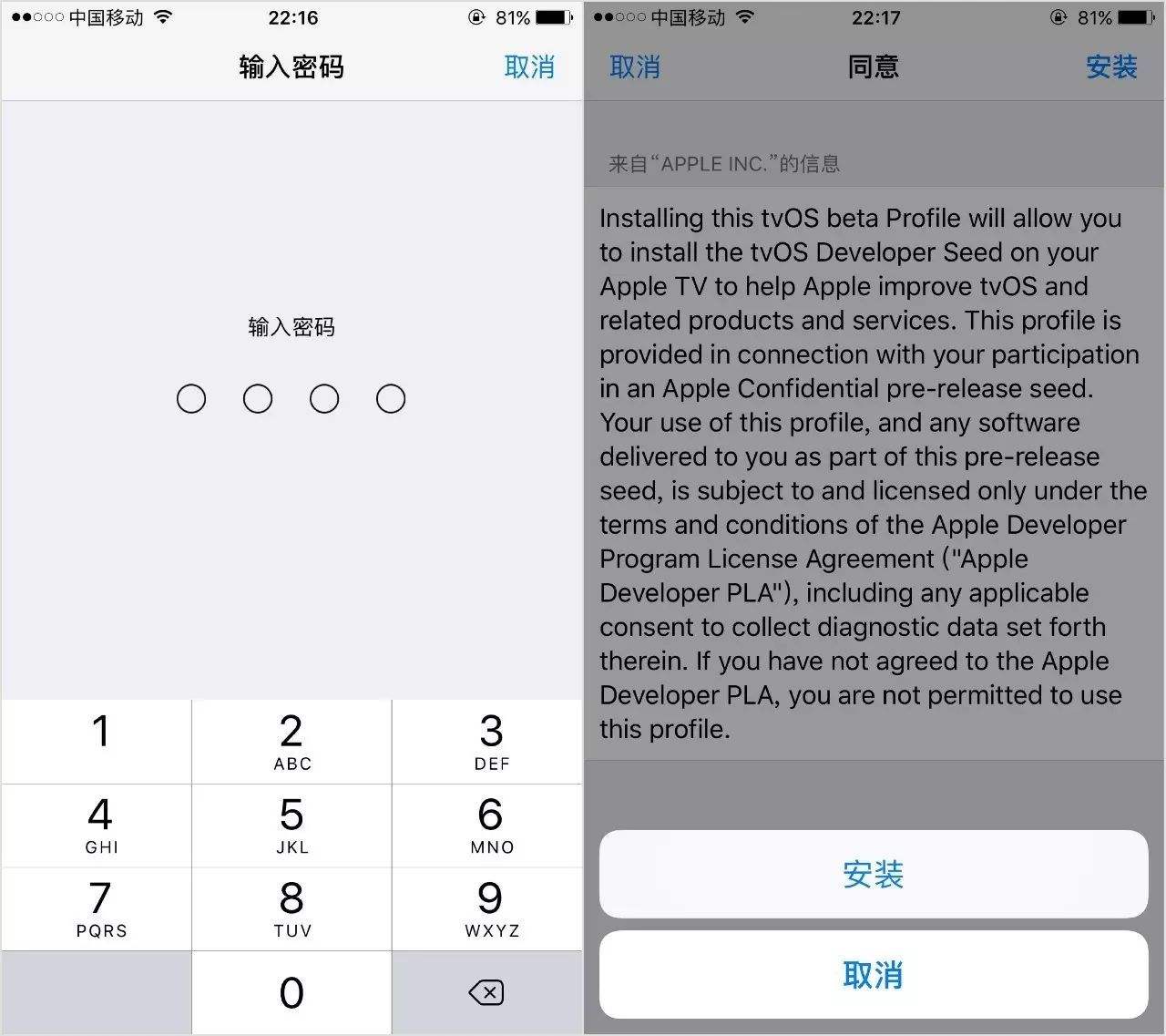 苹果手机更新提示怎么取消-第2张图片-王尘宇