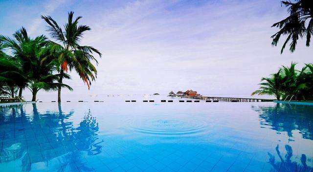 章鱼相克的食物-第2张图片-王尘宇