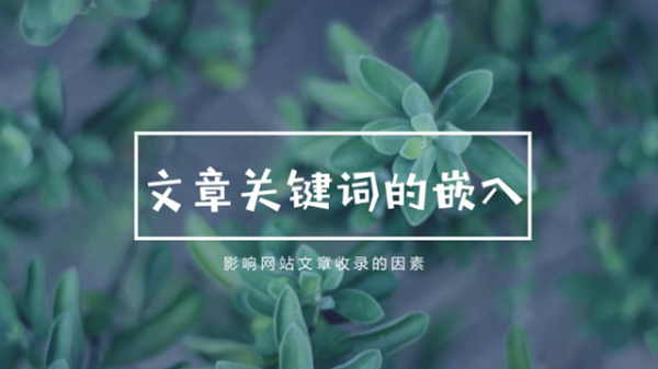 网站为什么需要有规律性的更新高质量文章-第3张图片-王尘宇