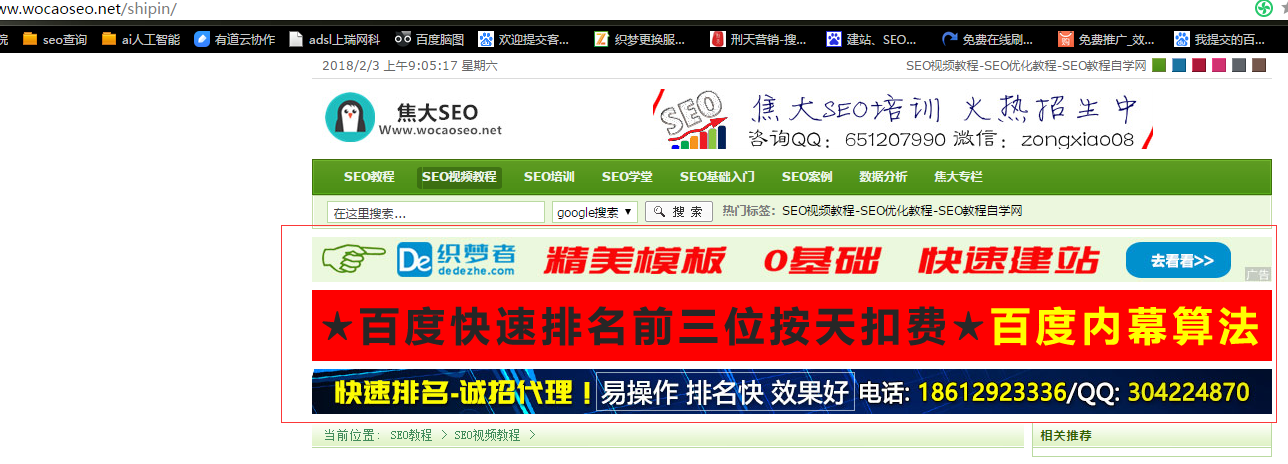 焦大seo网站首页被k是怎么回事-第3张图片-王尘宇