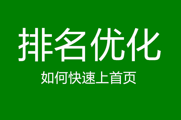 网站关键词快速上百度首页SEO方法-第1张图片-王尘宇