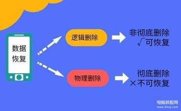 删除的文件怎样恢复手机-第1张图片-王尘宇