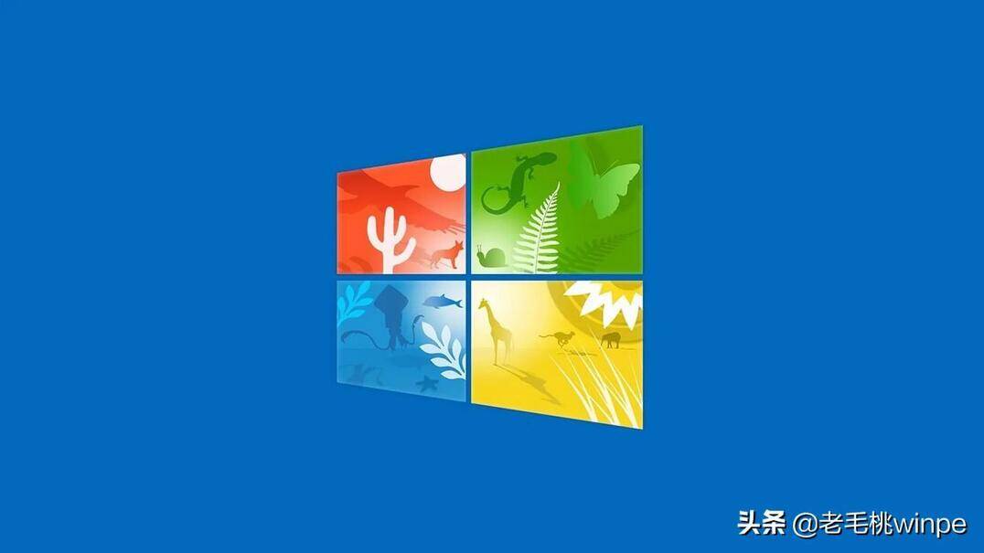 win10优化提高电脑性能-第1张图片-王尘宇