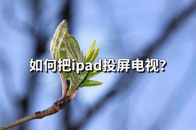 ipad如何投屏到电视上去-第1张图片-王尘宇