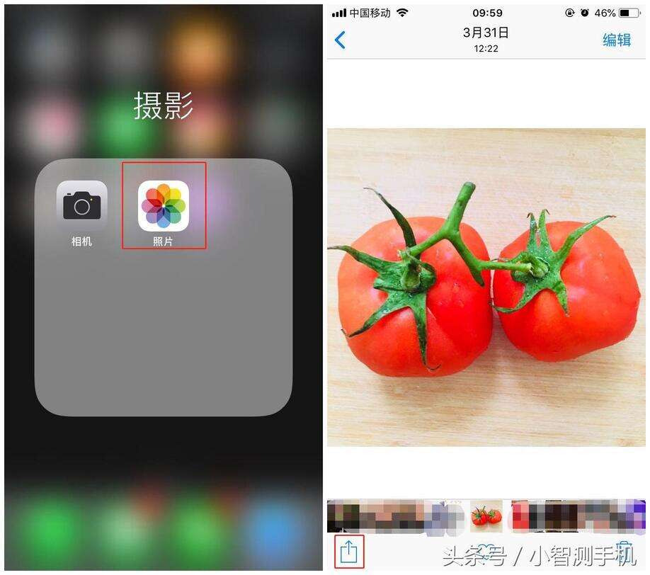 苹果手机壁纸怎么设置-第1张图片-王尘宇