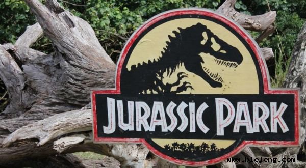 新一批个性域名后缀上线，.com要过时了？-第1张图片-王尘宇