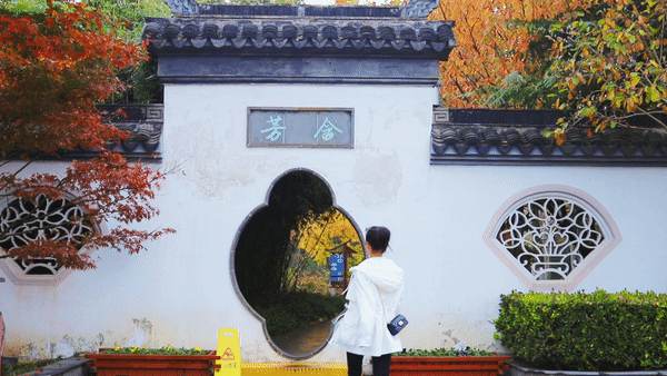 短视频拍摄的十种技巧!新手vlog博主想涨粉赚钱必看干货!-第2张图片-王尘宇 短视频拍摄的十种技巧!新手vlog博主想涨粉赚钱必看干货!-第2张图片-王尘宇