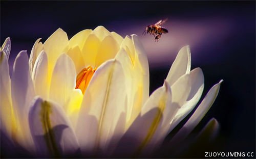 2022现实又很扎心的句子(精选160句)-第1张图片-王尘宇