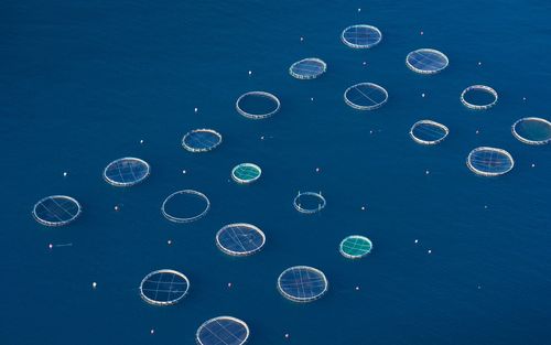 京东发现好货怎么参加？需要满足什么条件？-第1张图片-王尘宇