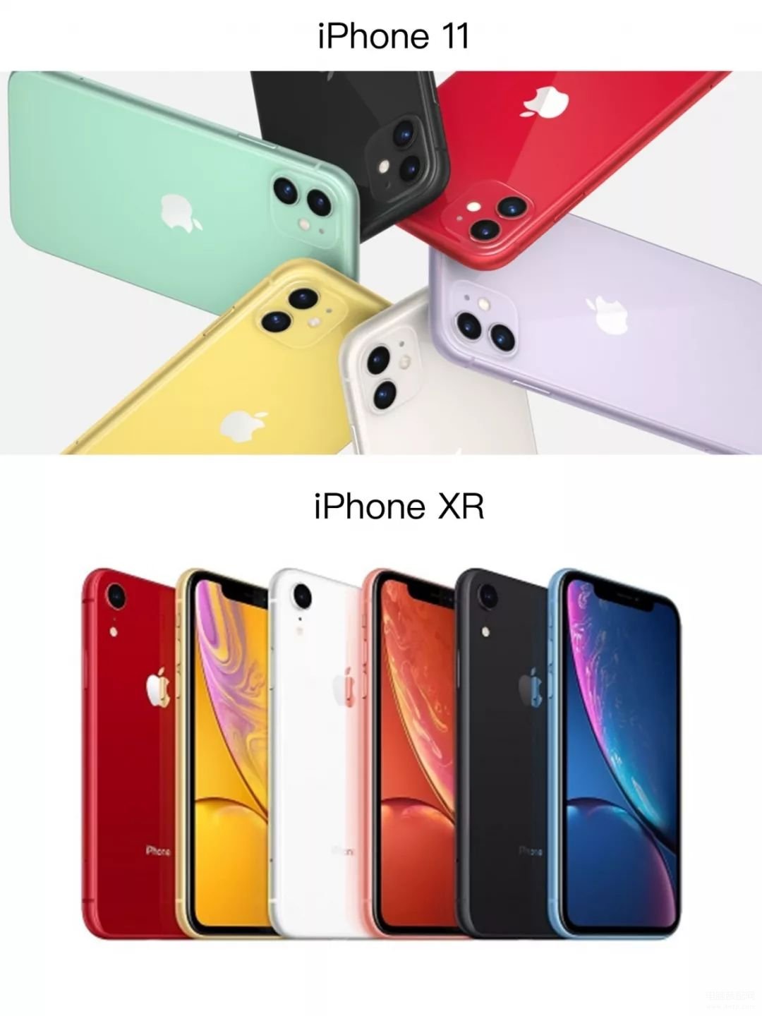 xr跟11建议买哪个颜色-第1张图片-王尘宇