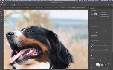 adobe imageready如何抠图-第1张图片-王尘宇