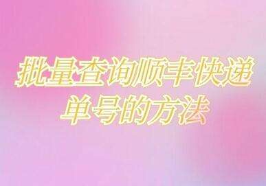 顺丰收件人号码查询快递-第1张图片-王尘宇 顺丰收件人号码查询快递-第1张图片-王尘宇
