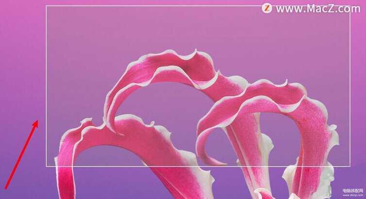 电脑截图的图片在哪里可以找到-第1张图片-王尘宇