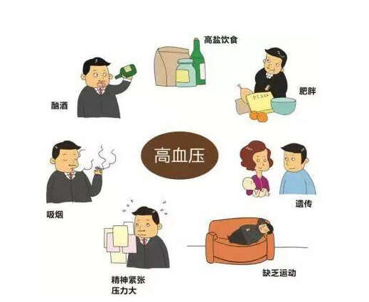 引起血压高的原因有哪些-第1张图片-王尘宇