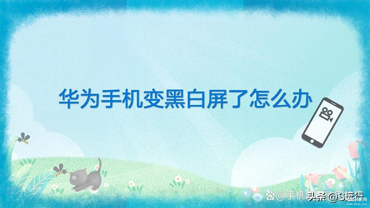 手机画面黑白如何恢复到彩色安卓-第1张图片-王尘宇